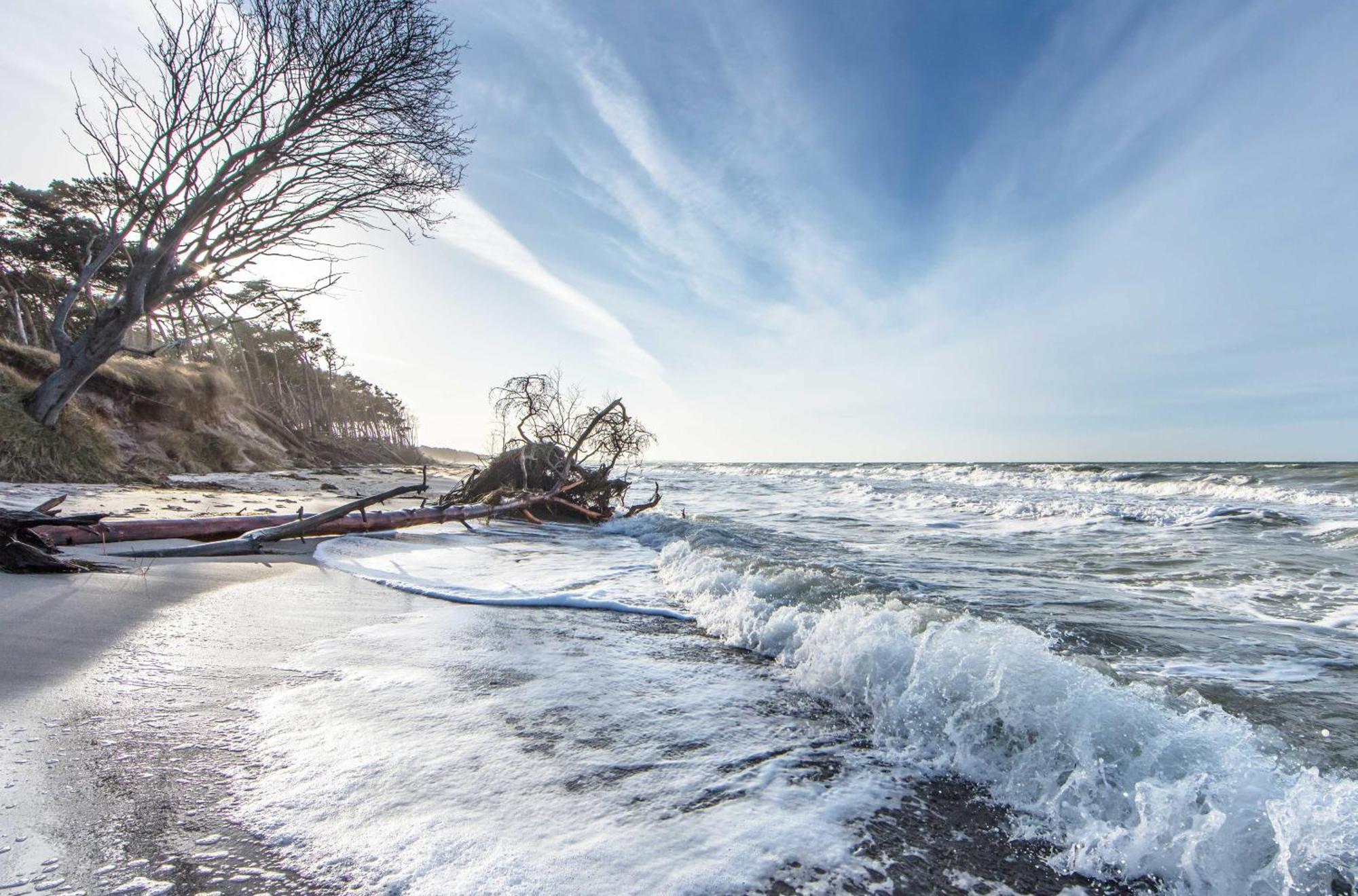 Herzmuschel Ostseeheilbad Ostseeheilbad Zingst Exterior foto