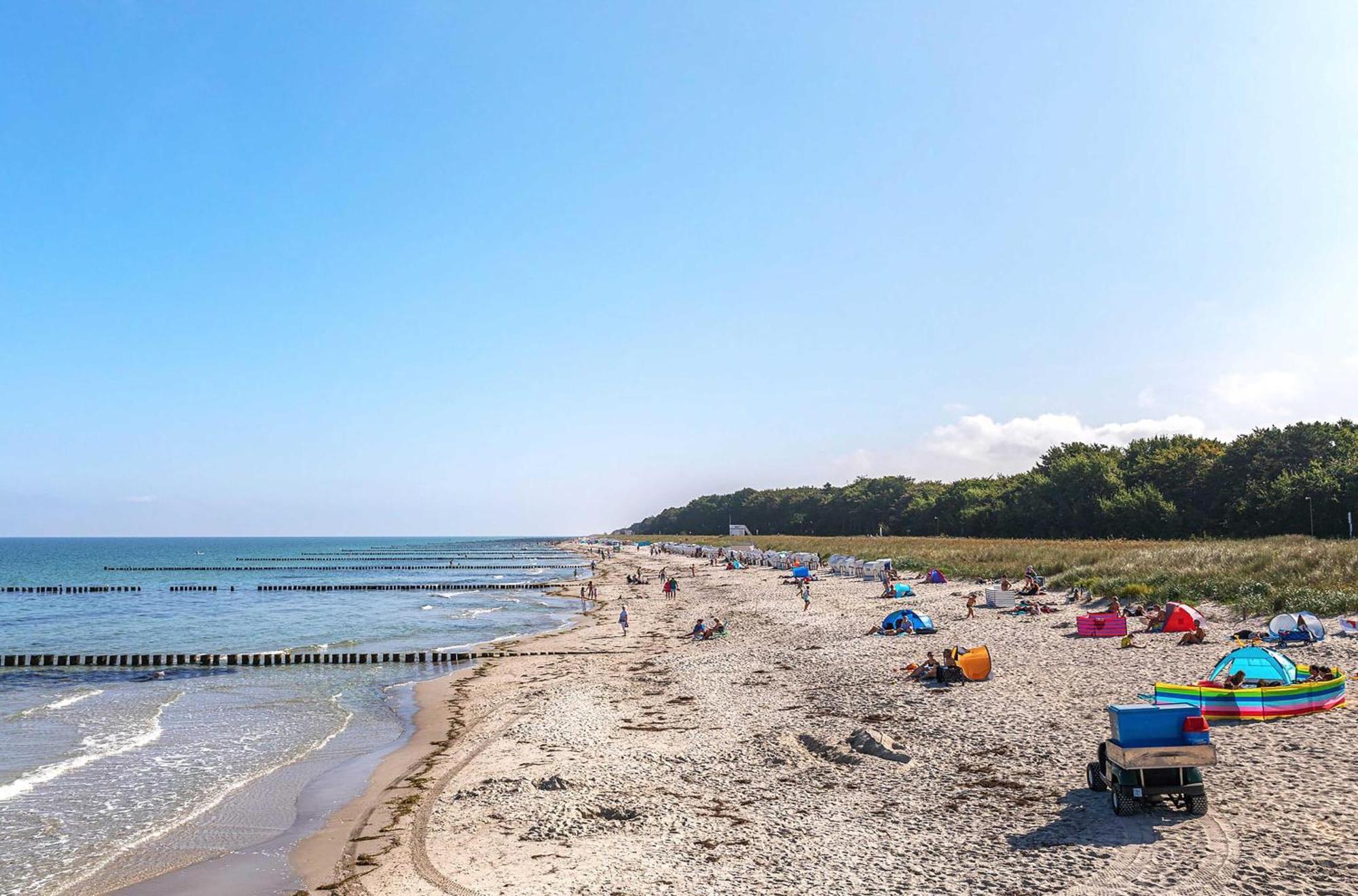 Herzmuschel Ostseeheilbad Ostseeheilbad Zingst Exterior foto